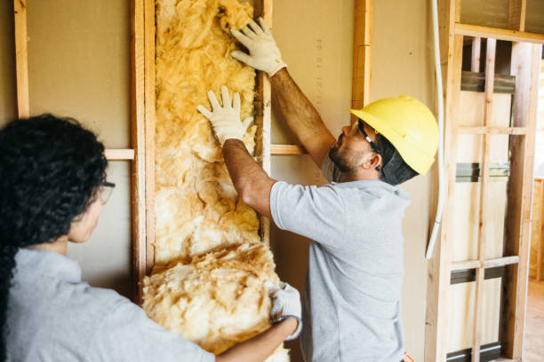 Insulation Repair Services